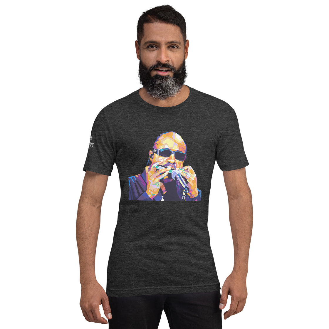 Stevie Wonder Unisex T-shirt